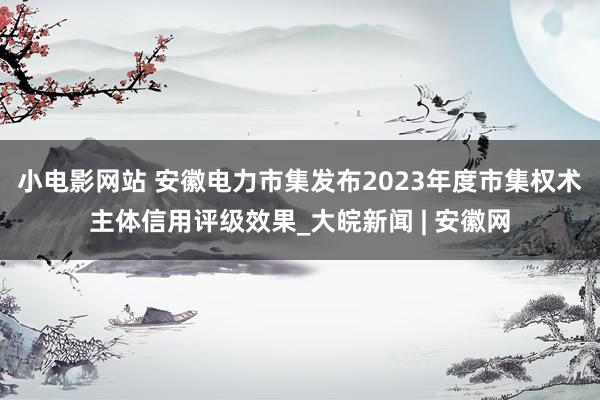 小电影网站 安徽电力市集发布2023年度市集权术主体信用评级效果_大皖新闻 | 安徽网