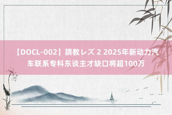 【DOCL-002】調教レズ 2 2025年新动力汽车联系专科东谈主才缺口将超100万