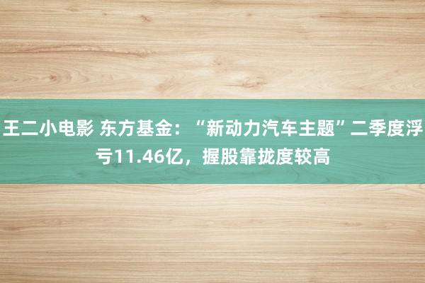 王二小电影 东方基金：“新动力汽车主题”二季度浮亏11.46亿，握股靠拢度较高