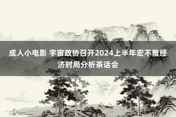 成人小电影 宇宙政协召开2024上半年宏不雅经济时局分析茶话会