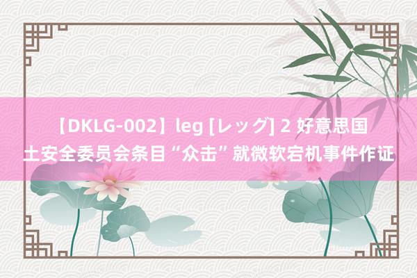 【DKLG-002】leg [レッグ] 2 好意思国土安全委员会条目“众击”就微软宕机事件作证