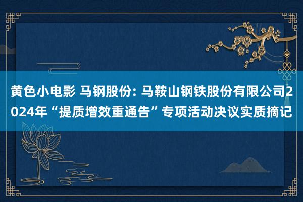 黄色小电影 马钢股份: 马鞍山钢铁股份有限公司2024年“提质增效重通告”专项活动决议实质摘记