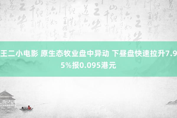 王二小电影 原生态牧业盘中异动 下昼盘快速拉升7.95%报0.095港元