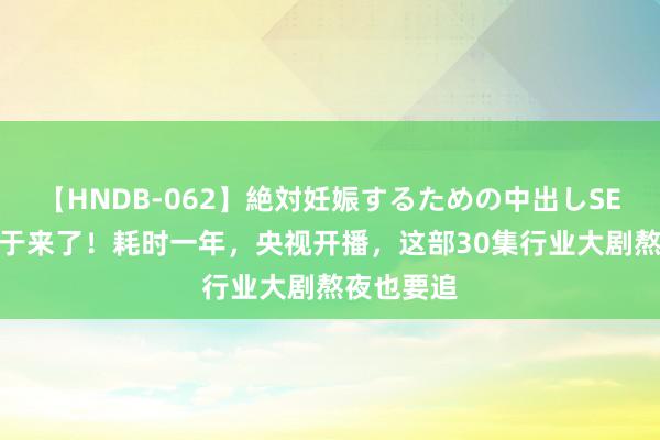 【HNDB-062】絶対妊娠するための中出しSEX！！ 终于来了！耗时一年，央视开播，这部30集行业大剧熬夜也要追