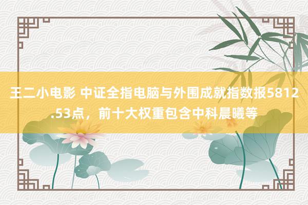 王二小电影 中证全指电脑与外围成就指数报5812.53点，前十大权重包含中科晨曦等