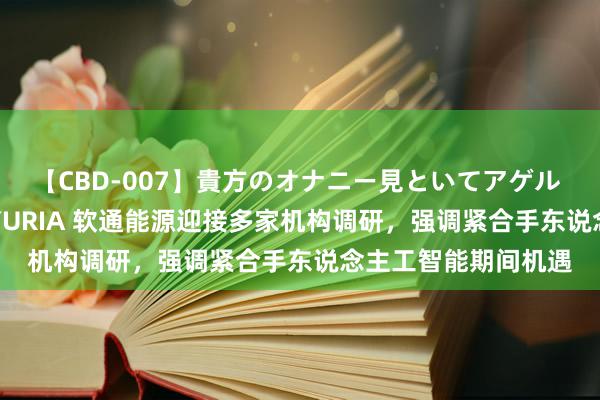 【CBD-007】貴方のオナニー見といてアゲル [痴的◆自慰革命] YURIA 软通能源迎接多家机构调研，强调紧合手东说念主工智能期间机遇