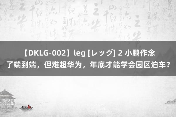 【DKLG-002】leg [レッグ] 2 小鹏作念了端到端，但难超华为，年底才能学会园区泊车？