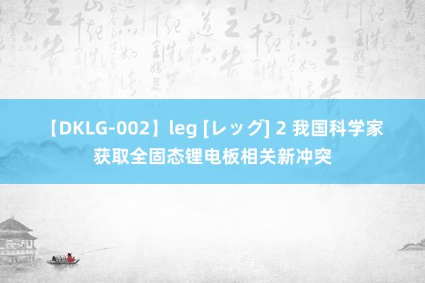 【DKLG-002】leg [レッグ] 2 我国科学家获取全固态锂电板相关新冲突