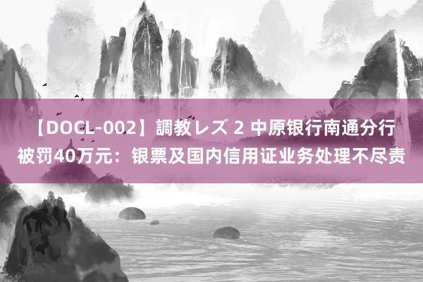 【DOCL-002】調教レズ 2 中原银行南通分行被罚40万元：银票及国内信用证业务处理不尽责