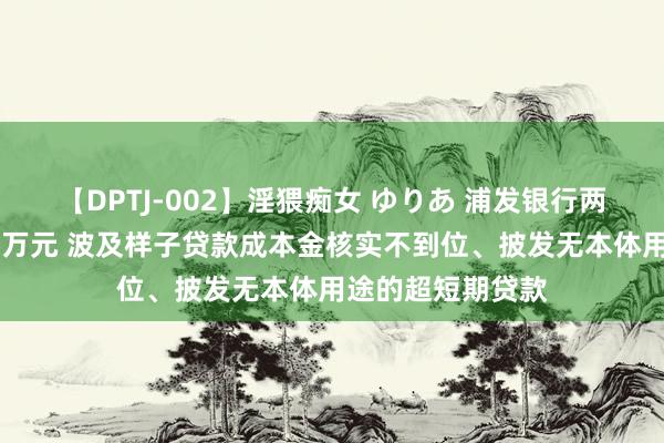 【DPTJ-002】淫猥痴女 ゆりあ 浦发银行两家谱行被罚逾66万元 波及样子贷款成本金核实不到位、披发无本体用途的超短期贷款