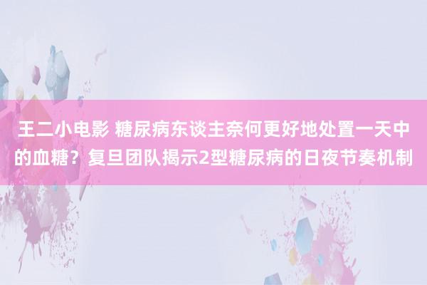 王二小电影 糖尿病东谈主奈何更好地处置一天中的血糖？复旦团队揭示2型糖尿病的日夜节奏机制