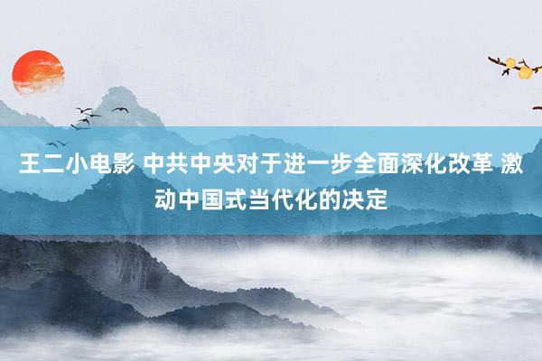 王二小电影 中共中央对于进一步全面深化改革 激动中国式当代化的决定