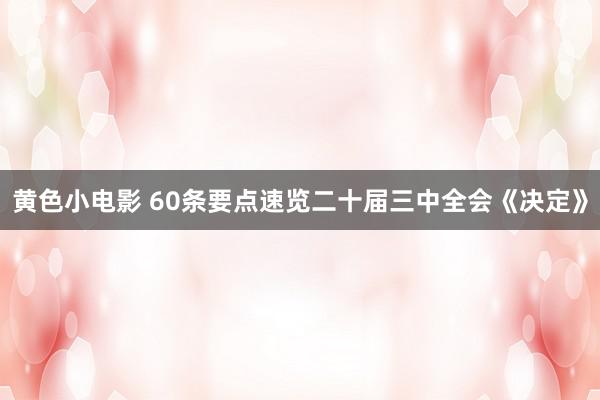 黄色小电影 60条要点速览二十届三中全会《决定》