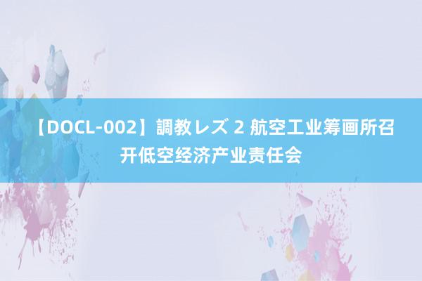 【DOCL-002】調教レズ 2 航空工业筹画所召开低空经济产业责任会