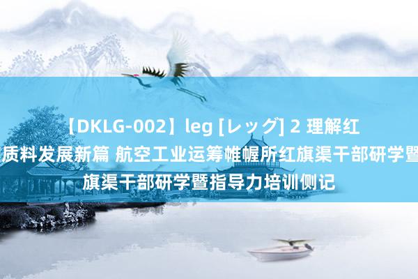 【DKLG-002】leg [レッグ] 2 理解红旗渠精神 谱写高质料发展新篇 航空工业运筹帷幄所红旗渠干部研学暨指导力培训侧记