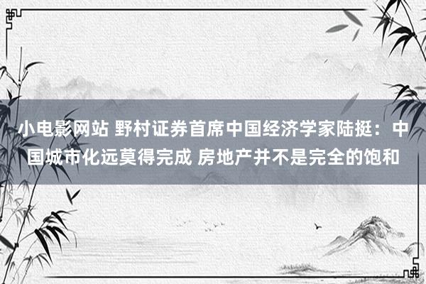 小电影网站 野村证券首席中国经济学家陆挺：中国城市化远莫得完成 房地产并不是完全的饱和