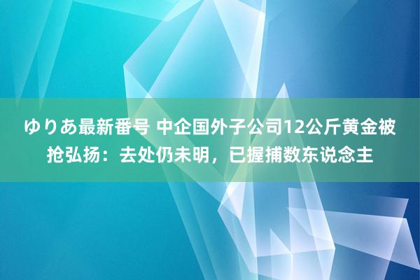 ゆりあ最新番号 中企国外子公司12公斤黄金被抢弘扬：去处仍未明，已握捕数东说念主