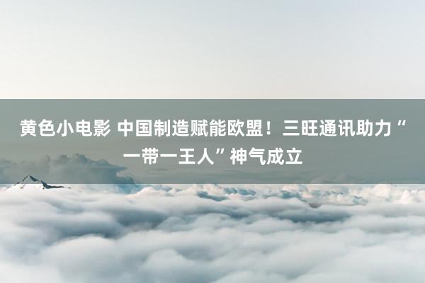 黄色小电影 中国制造赋能欧盟！三旺通讯助力“一带一王人”神气成立