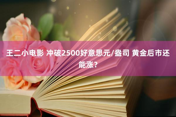 王二小电影 冲破2500好意思元/盎司 黄金后市还能涨？