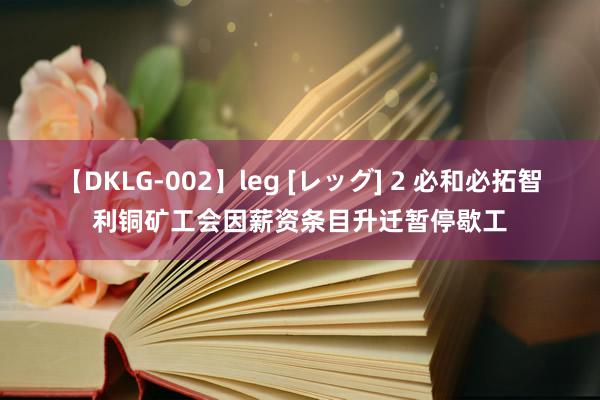 【DKLG-002】leg [レッグ] 2 必和必拓智利铜矿工会因薪资条目升迁暂停歇工