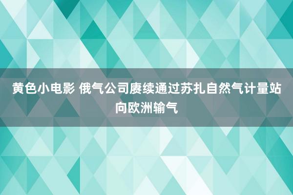 黄色小电影 俄气公司赓续通过苏扎自然气计量站向欧洲输气