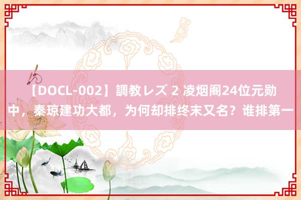 【DOCL-002】調教レズ 2 凌烟阁24位元勋中，秦琼建功大都，为何却排终末又名？谁排第一