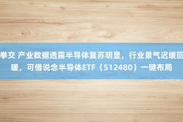 拳交 产业数据透露半导体复苏明显，行业景气迟缓回暖，可借说念半导体ETF（512480）一键布局