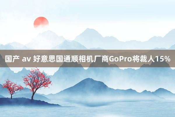 国产 av 好意思国通顺相机厂商GoPro将裁人15%