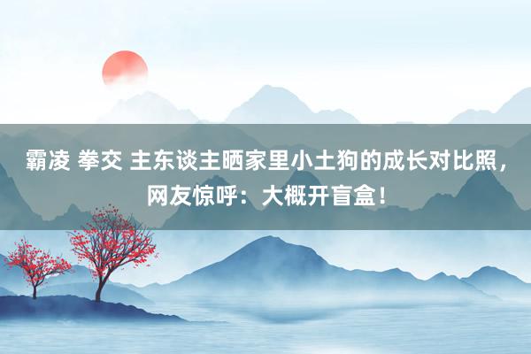 霸凌 拳交 主东谈主晒家里小土狗的成长对比照，网友惊呼：大概开盲盒！