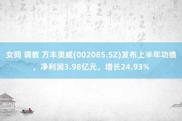 女同 调教 万丰奥威(002085.SZ)发布上半年功绩，净利润3.98亿元，增长24.93%