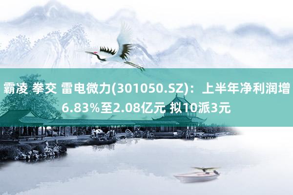 霸凌 拳交 雷电微力(301050.SZ)：上半年净利润增6.83%至2.08亿元 拟10派3元