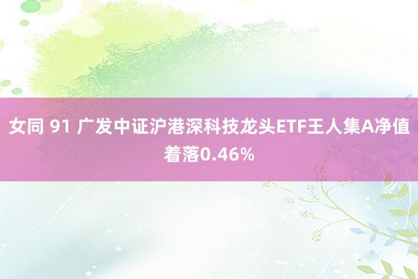 女同 91 广发中证沪港深科技龙头ETF王人集A净值着落0.46%