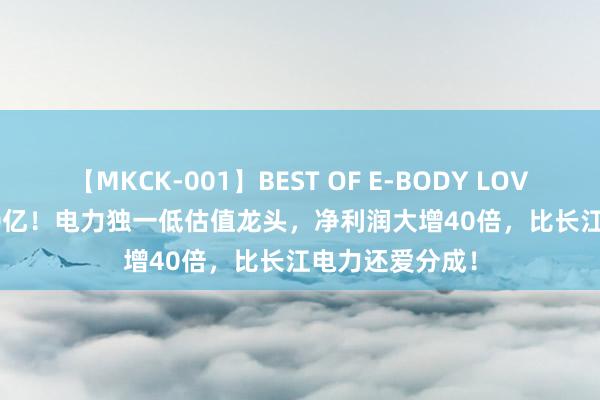 【MKCK-001】BEST OF E-BODY LOVERS 2008 200亿！电力独一低估值龙头，净利润大增40倍，比长江电力还爱分成！