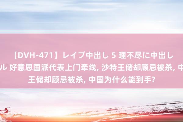 【DVH-471】レイプ中出し 5 理不尽に中出しされた7人のギャル 好意思国派代表上门牵线, 沙特王储却顾忌被杀, 中国为什么能到手?