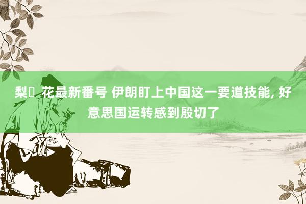 梨々花最新番号 伊朗盯上中国这一要道技能, 好意思国运转感到殷切了