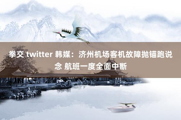 拳交 twitter 韩媒：济州机场客机故障抛锚跑说念 航班一度全面中断